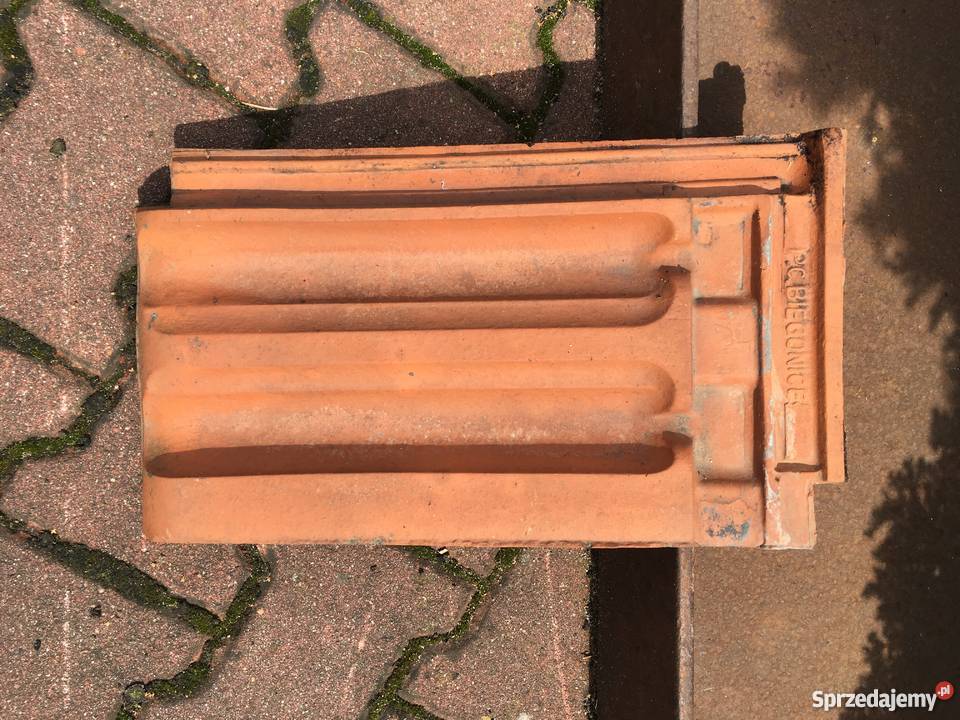 SPRZEDAM DACHÓWKĘ MARSYLKĘ Wolsztyn