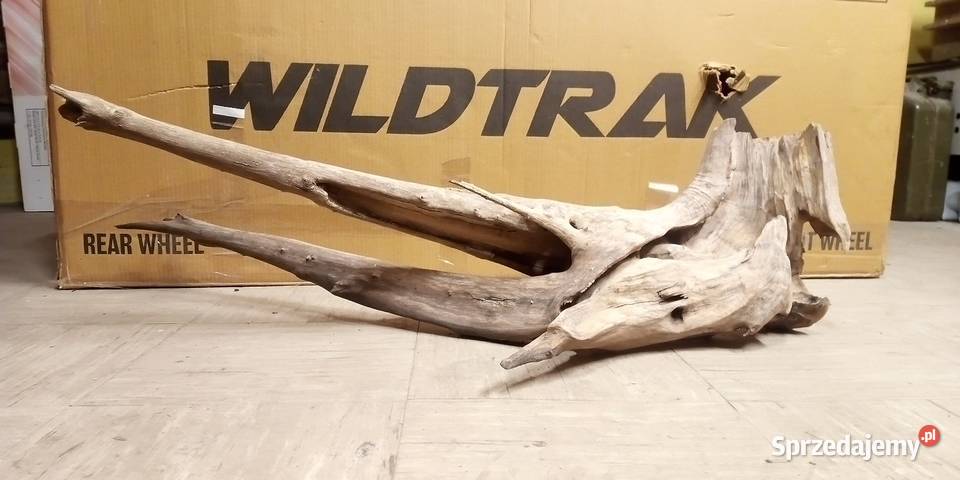 Duży korzeń do akwarium 100x50x56 centymetrów