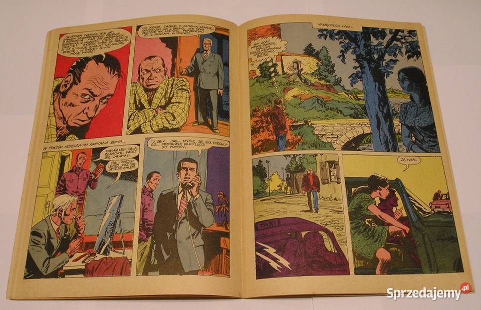 KAPITAN ŻBIK GOTYCKA KOMNATA 1971 miękka