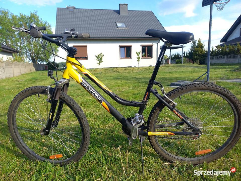 Rower damski łódzkie Wiechucice