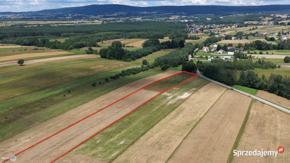 Grunt Bieliny 17918m2 handlowo-usługowa Sprzedaż sprzedam