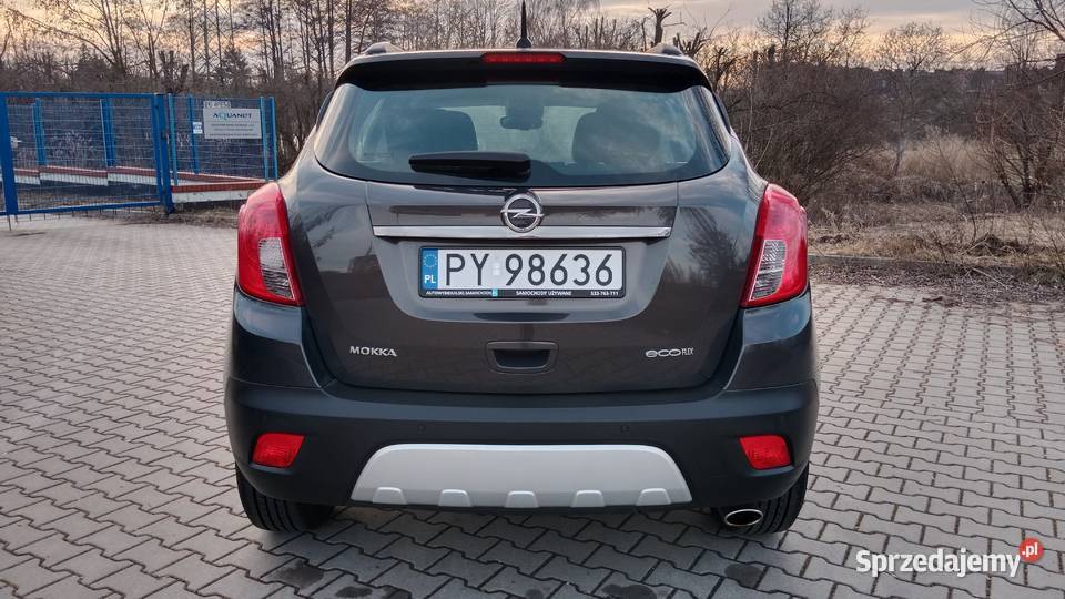 Pełen Carpass Zarejestrowany wielkopolskie Poznań sprzedam