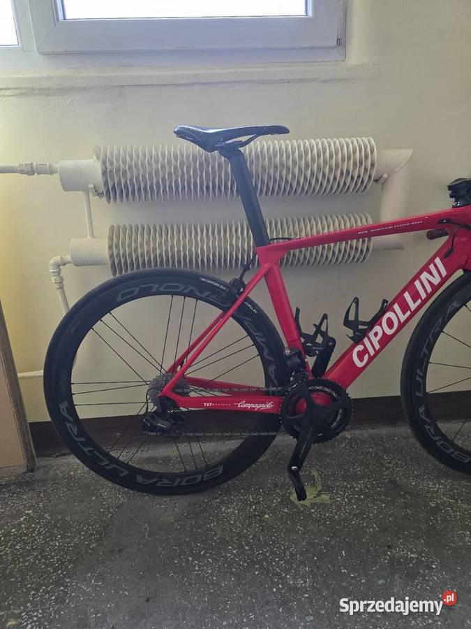 Cipollini MCM mazowieckie Radom