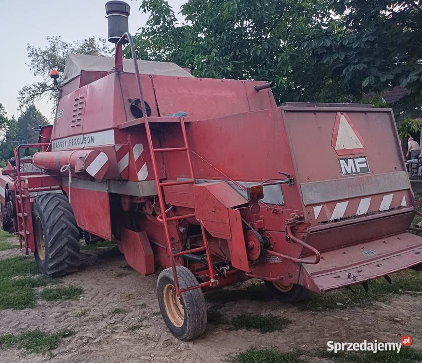 Kombajn zbożowy Massey Ferguson 507 Wola Więcławska