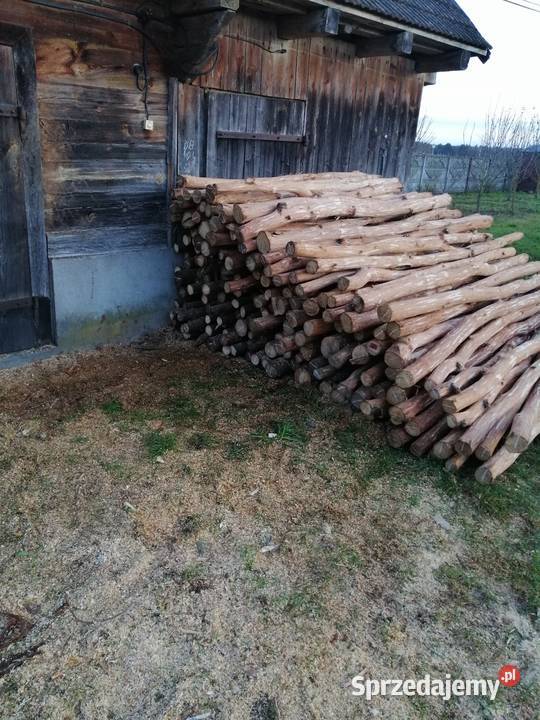 Kołki dębowe okorowane 250 12zl sztuka