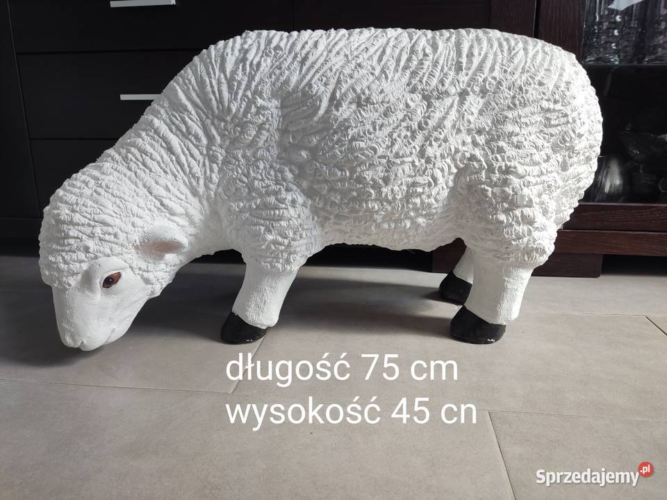 Owca DUŻA XXXL biały podkarpackie Straszęcin