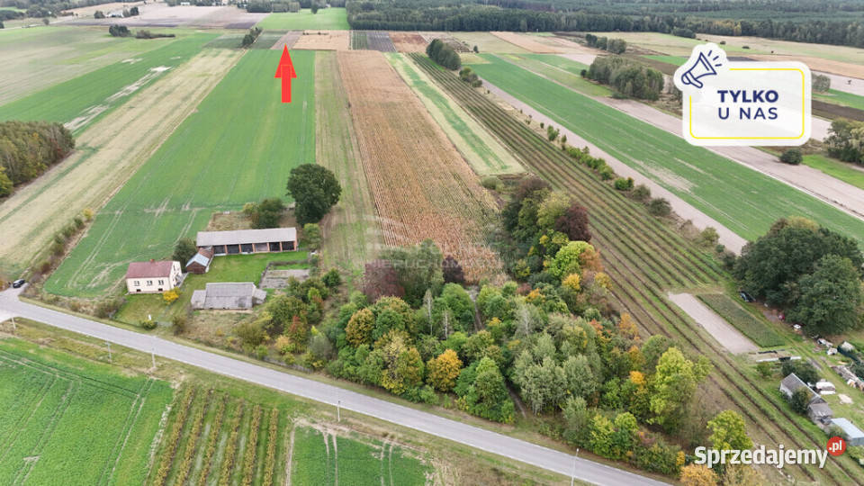 Działka rolna 7300m rzece Kolembrody Sprzedaż sprzedam