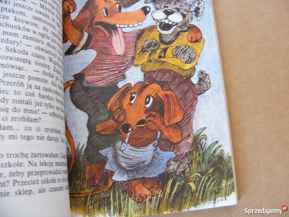 Gapa Bieniecki Wnuczak Oborniki Śląskie