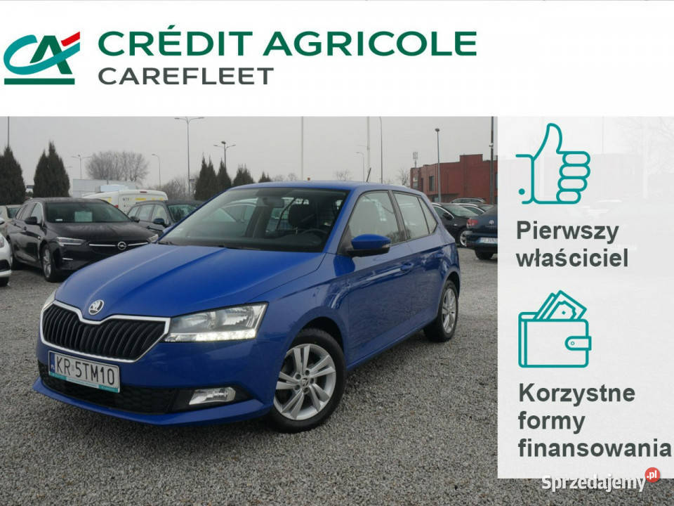 Skoda Fabia 10 TSI95 Ambition Fabia VAN Salon wielkopolskie Poznań