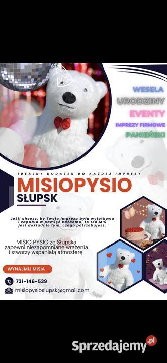 GOTOWY BIZNES Wielki Miś 26m maskotka TikTok pomorskie Słupsk