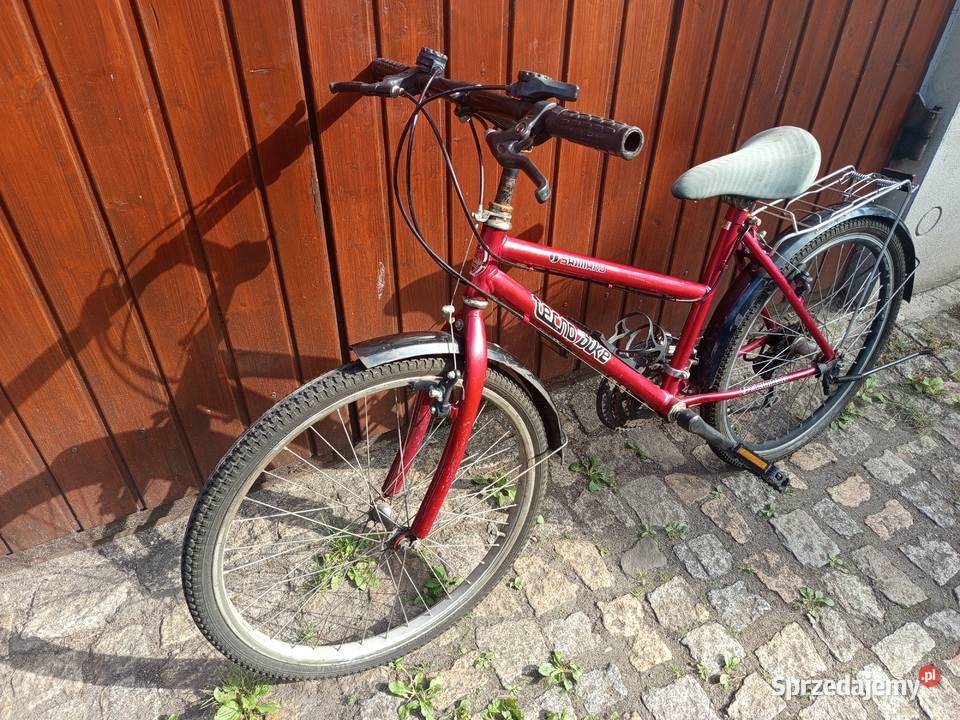 Rower Tecno Bike 24 Kąty Wrocławskie