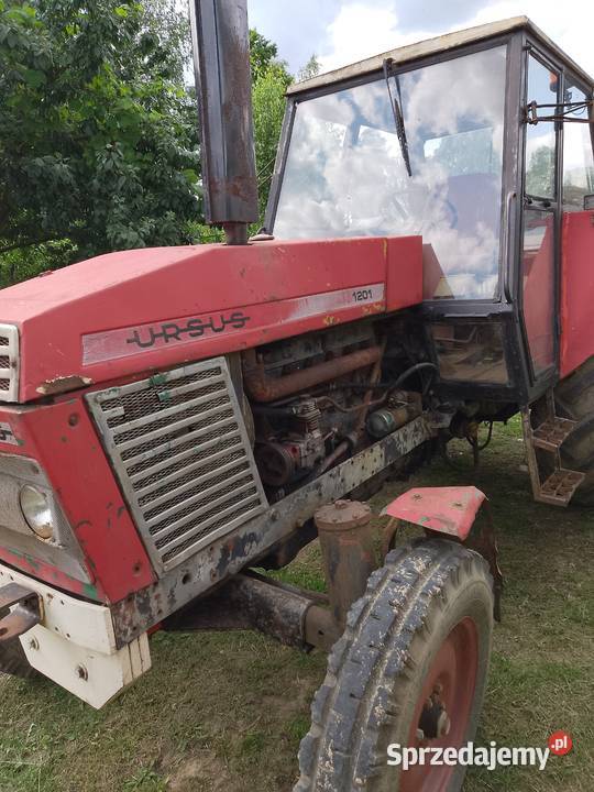 Sprzedam ursusa 1201 zarejestrowany z 1985r Szczytniki