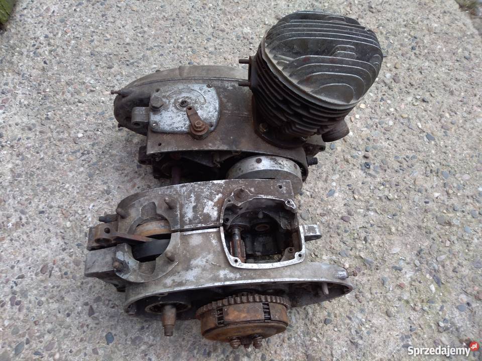 Silnik Pannonia pannonia Ząbkowice Śląskie