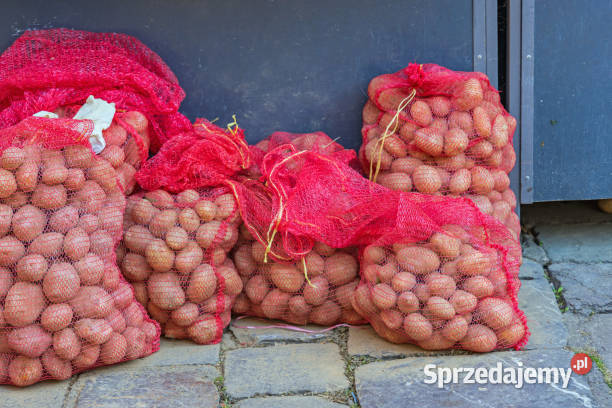 Sprzedam ziemniaki Red Sonia Jadalne Sadzeniaki Baranów Sandomierski