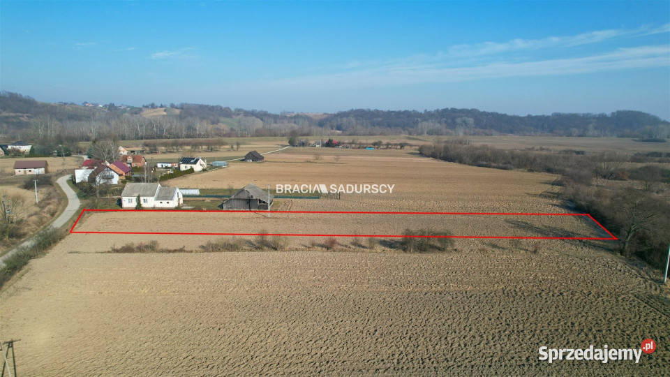 Grunt Szczurowa 2579m2 sprzedam
