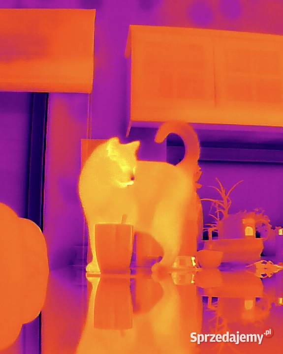 Usługi dronem z kamerą termowizyjną termowizja Łódź