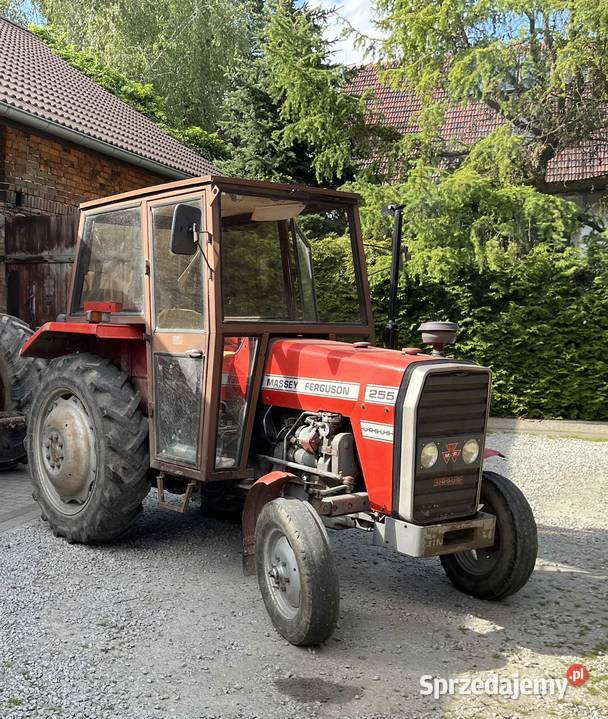 Massey Ferguson MF 255 Zaczep dolny Ciągniki Sternalice sprzedam