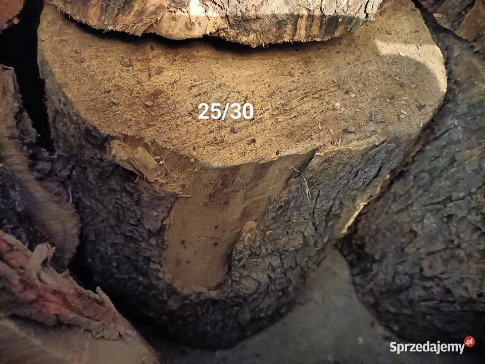 Oliwkadeskiplastry pieńki Mielec