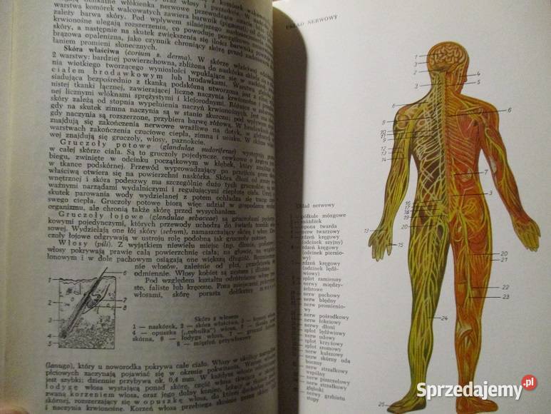 Rodzinna encyklopedia zdrowia medycyna farmacja medycyna, nauki medyczne Łódź