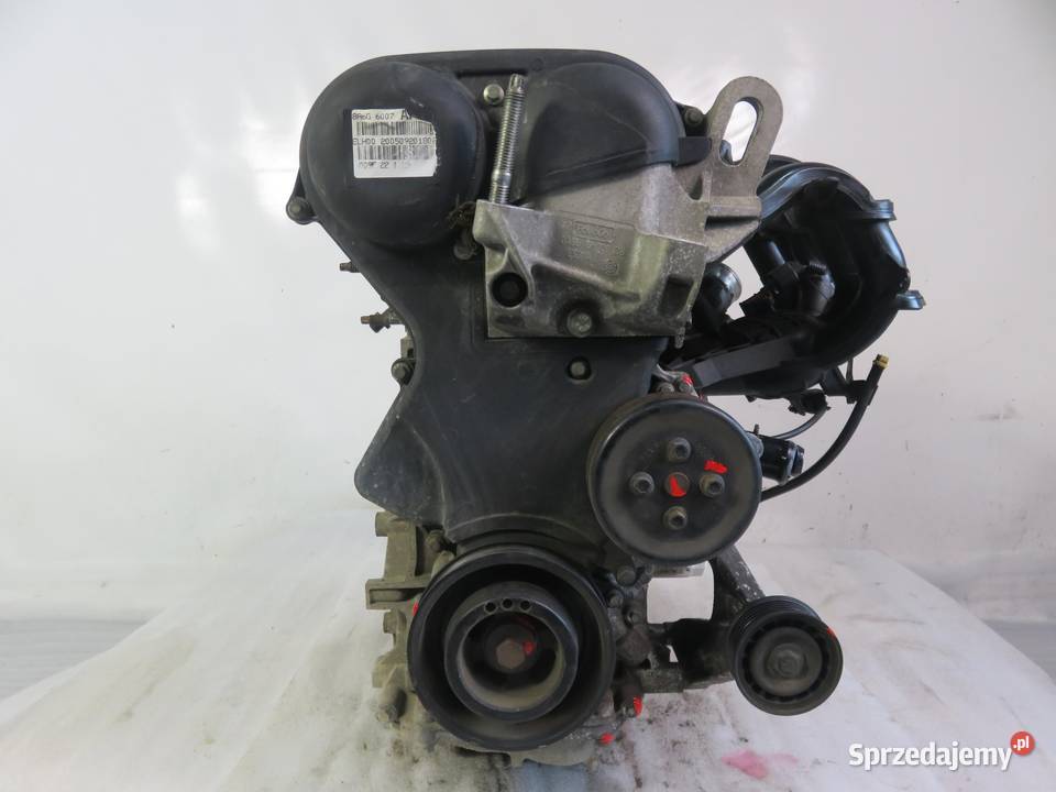 SILNIK FORD FIESTA MK6 VI 125 60 STJA Silniki kompletne małopolskie
