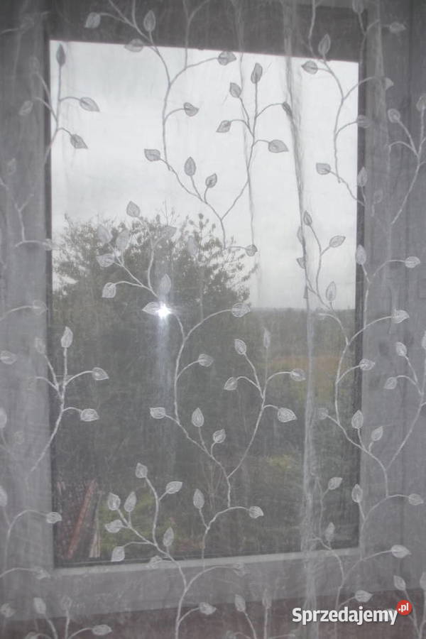 Firana ecri pnącza kresz szer196 wys238 Piekary Śląskie