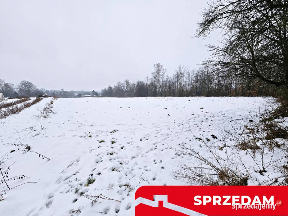 Drewniany dom z dużą działką pole sad las mieszkalny Karczmiska Pierwsze