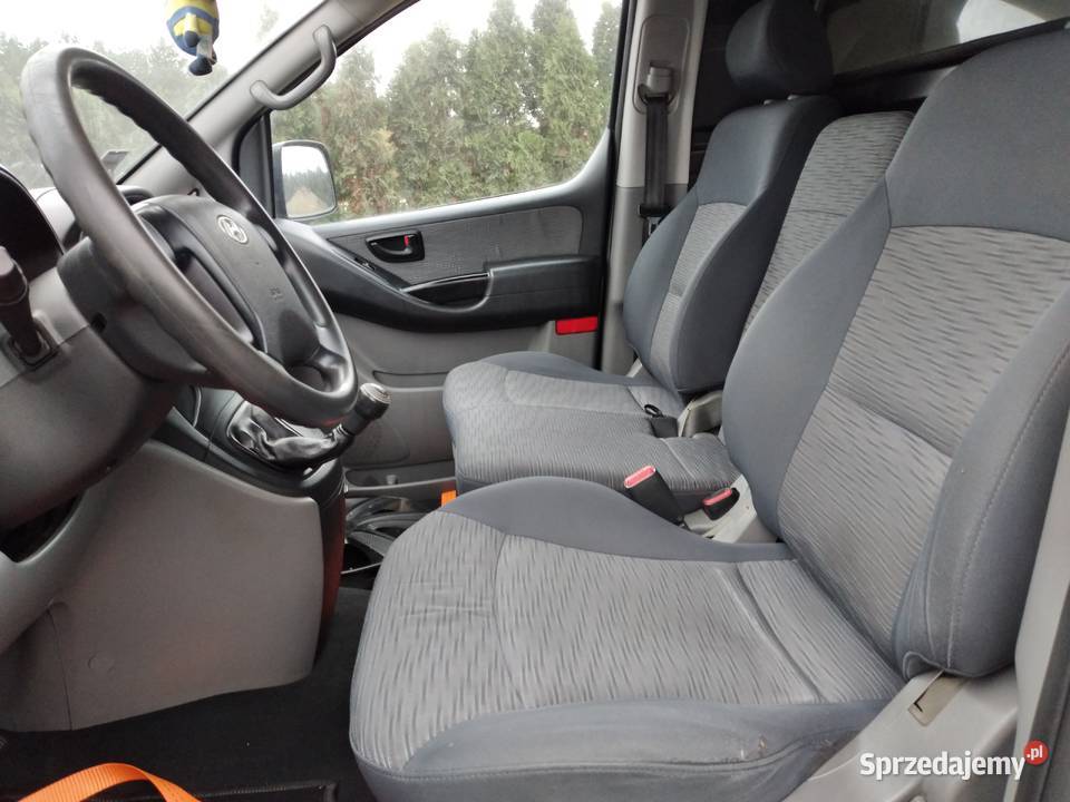 Hyundai H1 H300 i800 25crdi 170 D4CB części dostawcze Złoczew sprzedam