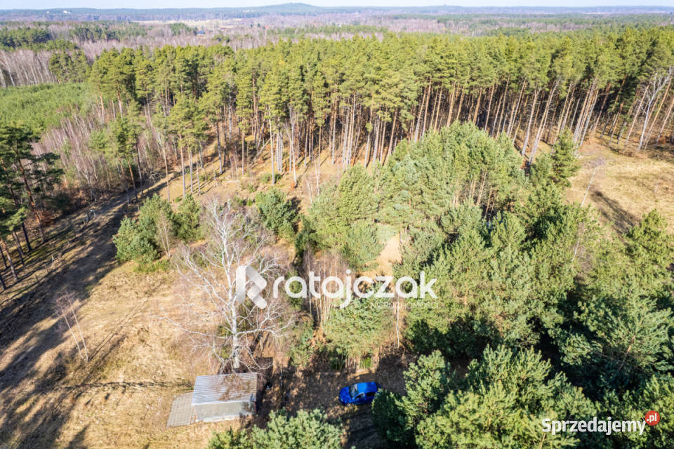 Dom wolnostojący Sasino Stara Cegielnia 40m2 pomorskie