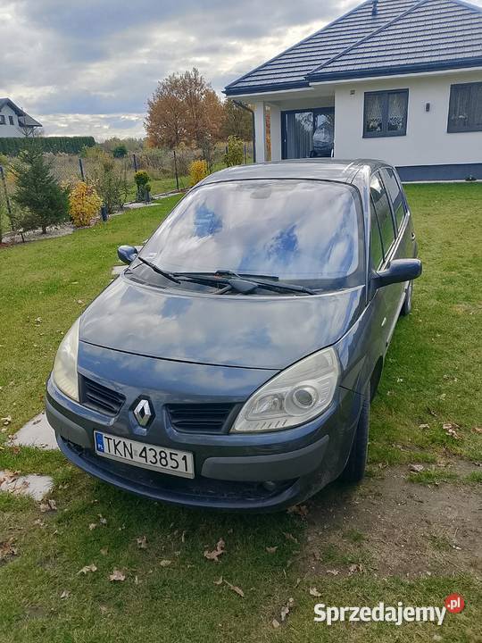 Renault scenic Końskie