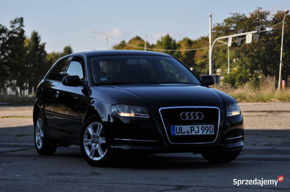Audi a3 8p LIFT 2010 16 mpi 102 Ładny Stan 1600cm3 Świdnica