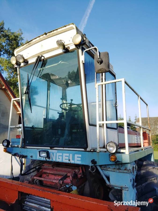 Kabina Mengele bizon Giby