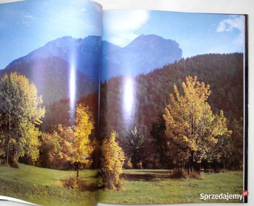 MAŁ Brchel Legutky Tatry w panoramach Książki naukowe i popularnonaukowe Warszawa