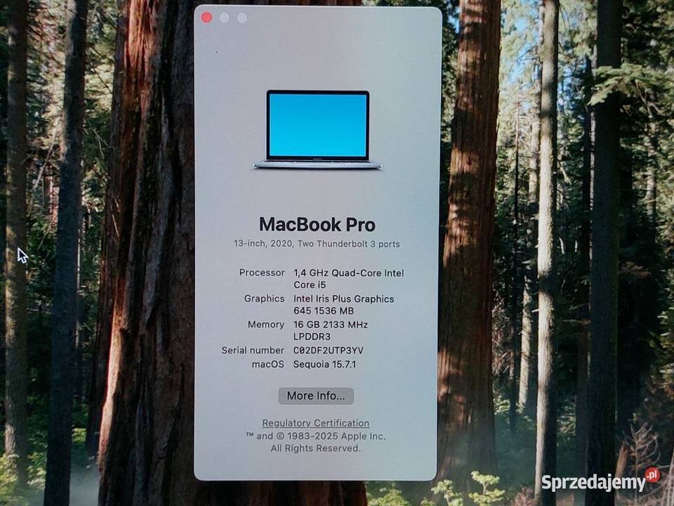 MacBook Pro 2020 i5 16GB RAM 256GB A2289 2 Liczba rdzeni 2