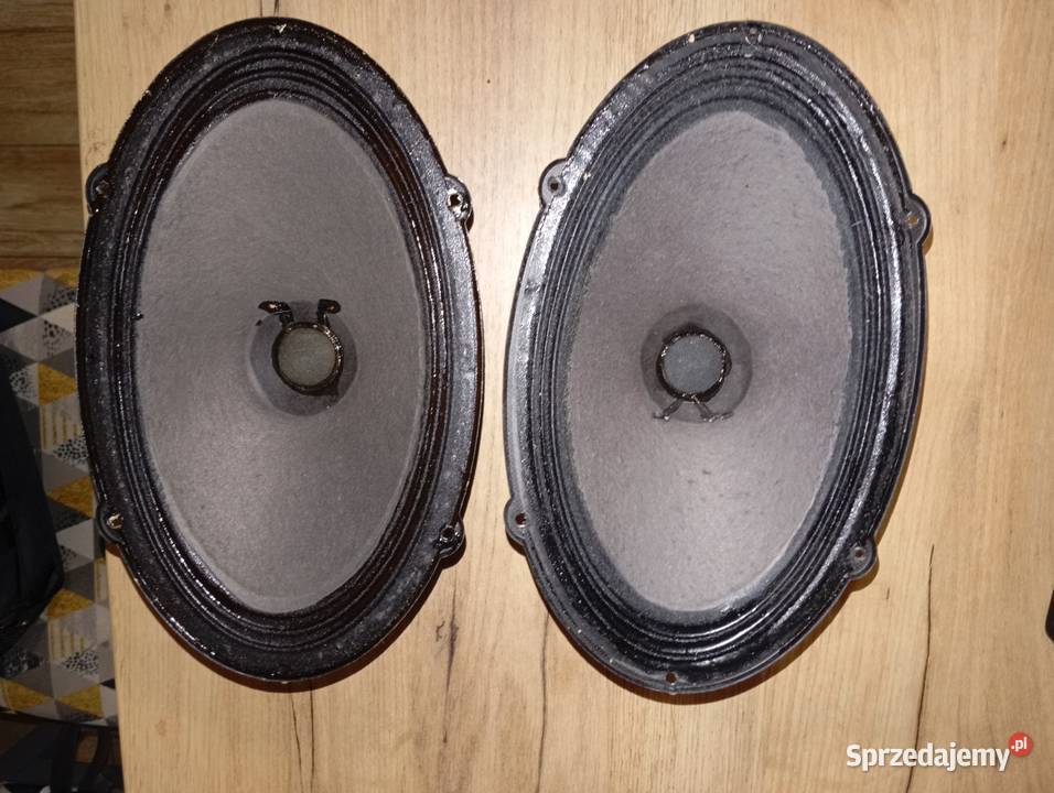 Głośniki Seas Philips Peerless AD