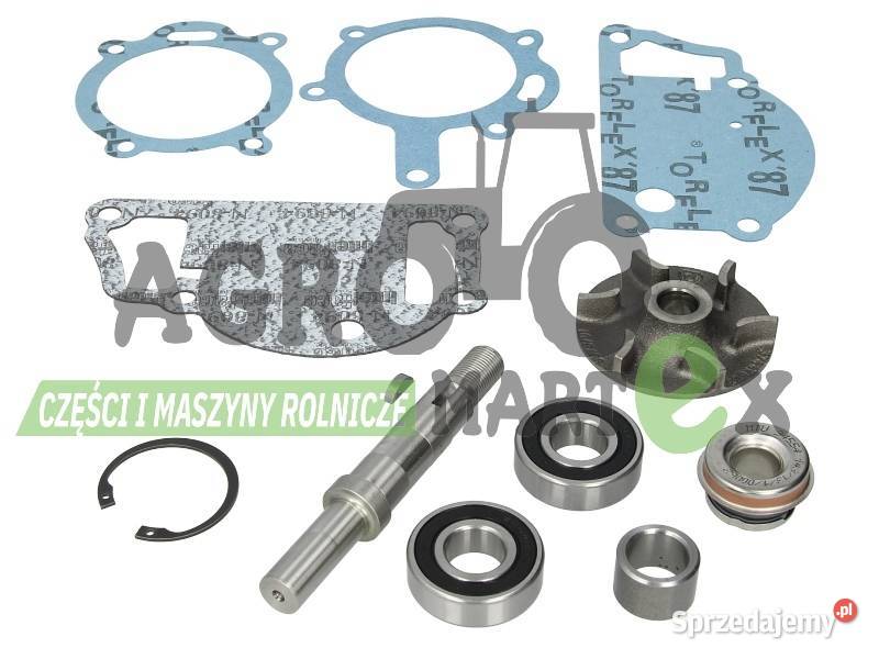 3637411M91 4131A013 ZESTAW NAPRAWCZY POMPY WODY Wichrów