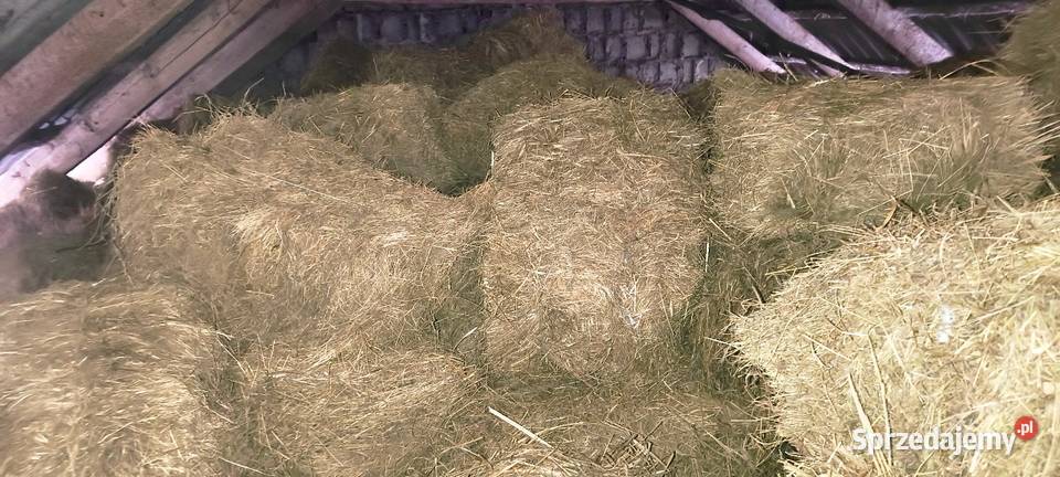 Siano w małej kostce podściółka zwierząt podłoże lubelskie