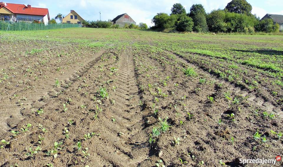 Sprzedam Działkę Krasnołęka