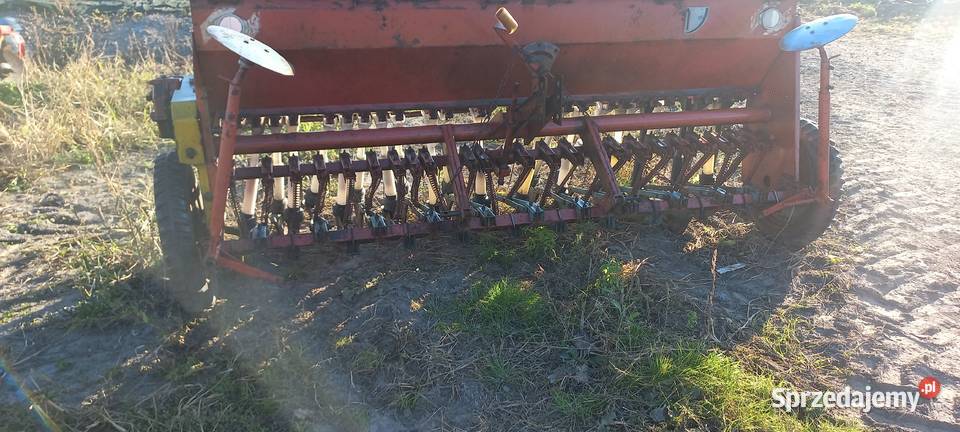 Siewnik poznaniak nieuszkodzony Opatówek