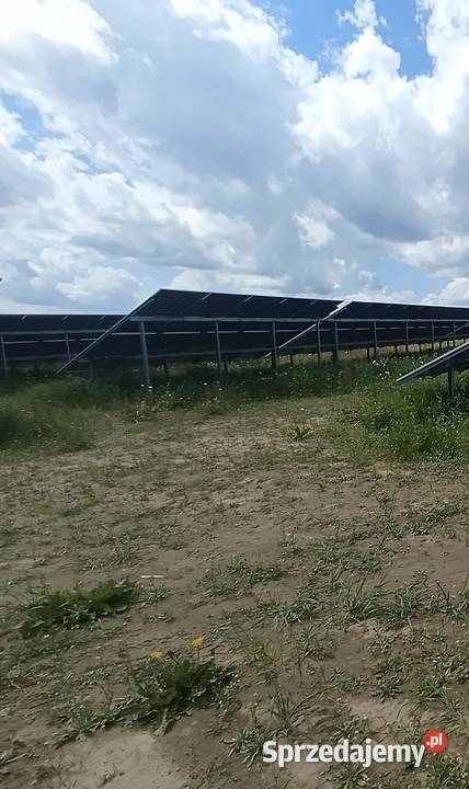 Profesjonalne koszenie farm fotowoltaiczne Szubin sprzedam