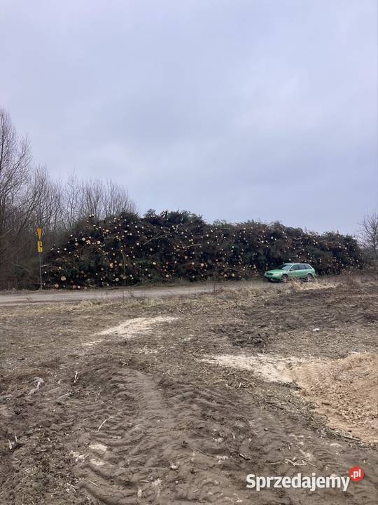 Biomasa energetyczna 4999 pln 1 mp Oborniki Śląskie sprzedam