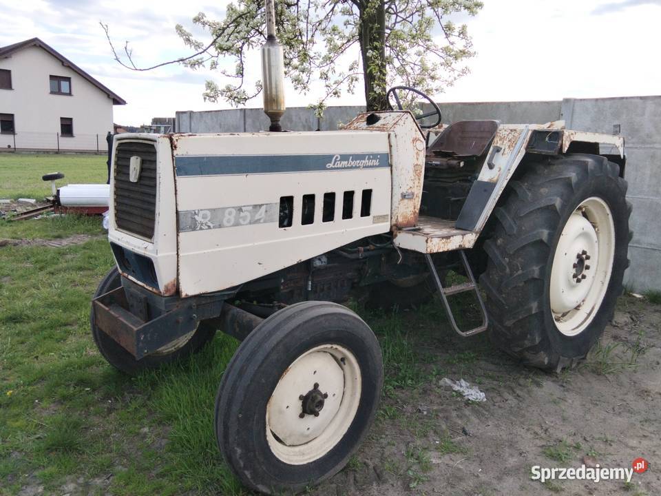 Sprzedam cignik Lamborghini 85koni wielkopolskie Królików