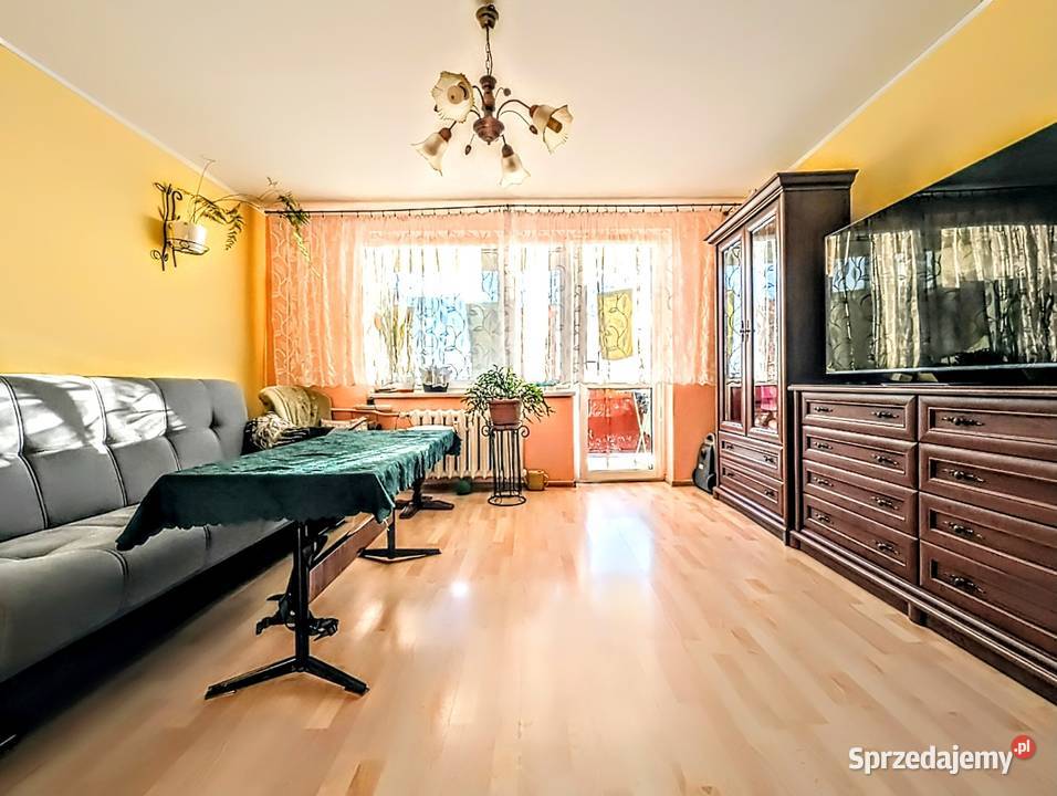 Mieszkanie 3 pokoje 61m kuchnia korytarz sieć Sprzedaż Lewin Brzeski