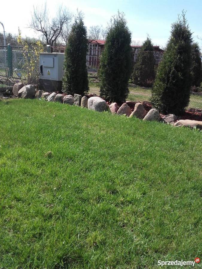 dzialka ogrodnicza Paderewskiego Brodnica