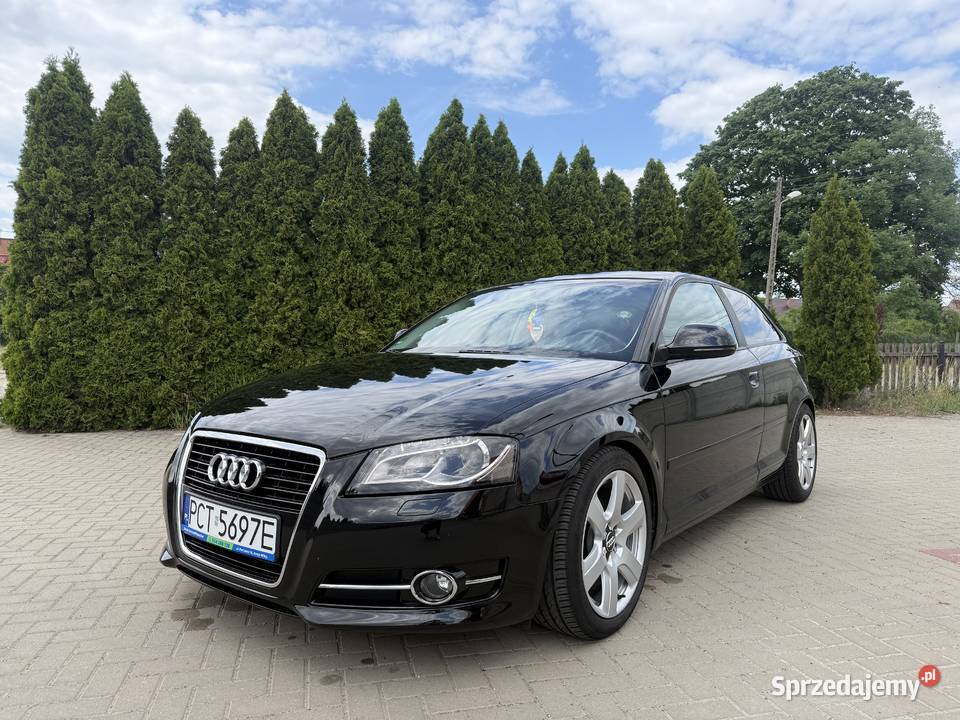Audi a3 8p 20 TDI 140 koni bez wkładu