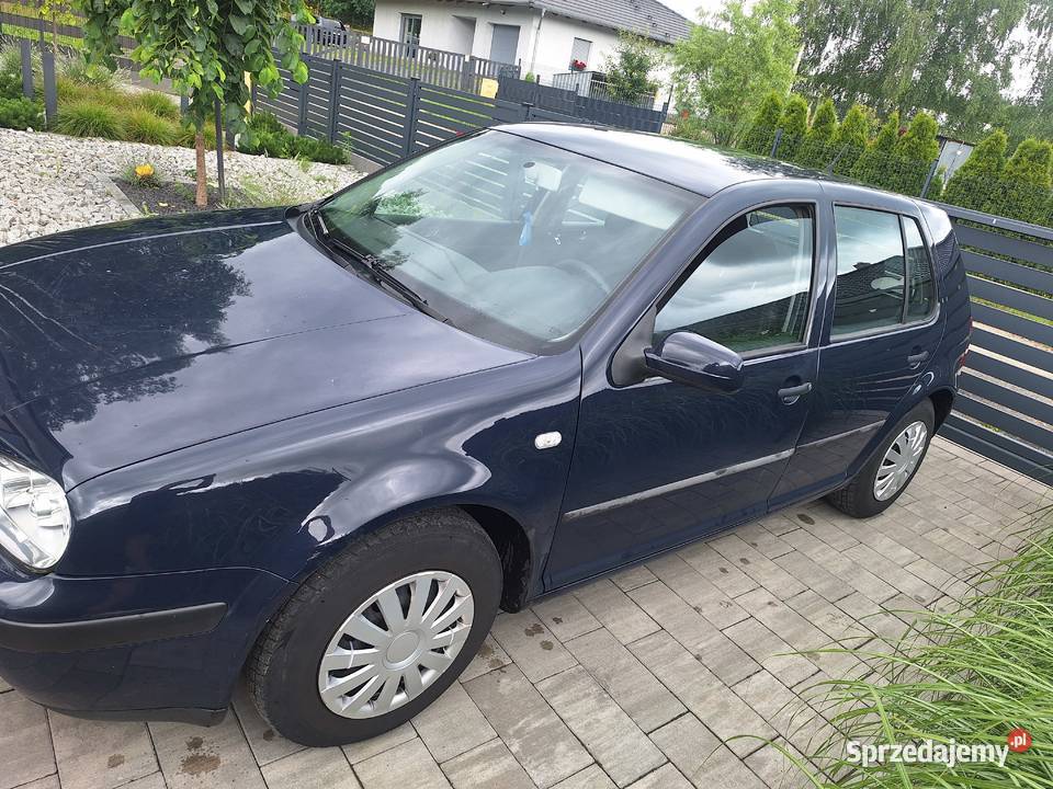 Golf 4 Żary