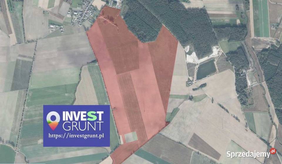 1700 ha przetarg na dzierżawę gruntów pod 170000m2 Bródki sprzedam