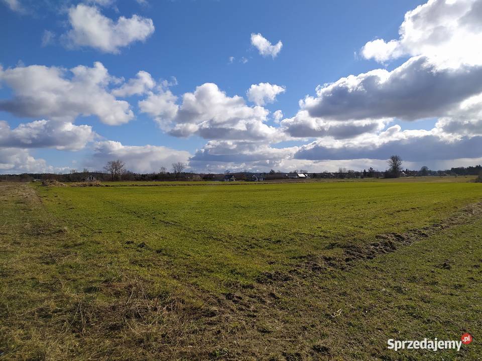 tapeta z Windows XP 3477m2 Grunty i działki pomorskie