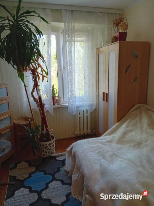 sprzedaży mieszkania Pruszków 63m2 4pokojowe