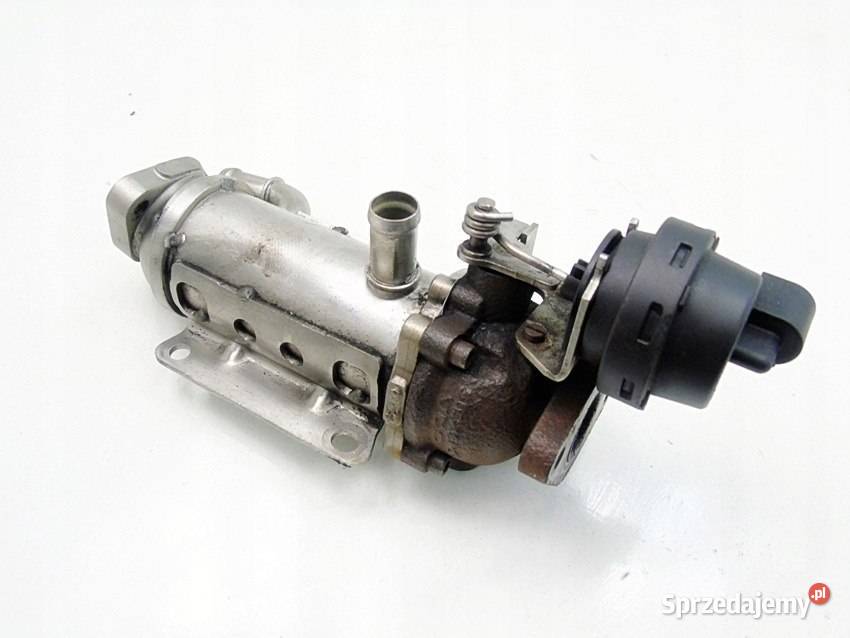 CHŁODNICA SPALIN EGR 20 DCI TRAFIC 2 VIVARO Sosnowiec