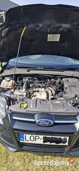 Ford focus mk3 16 Focus lubelskie Opole Lubelskie